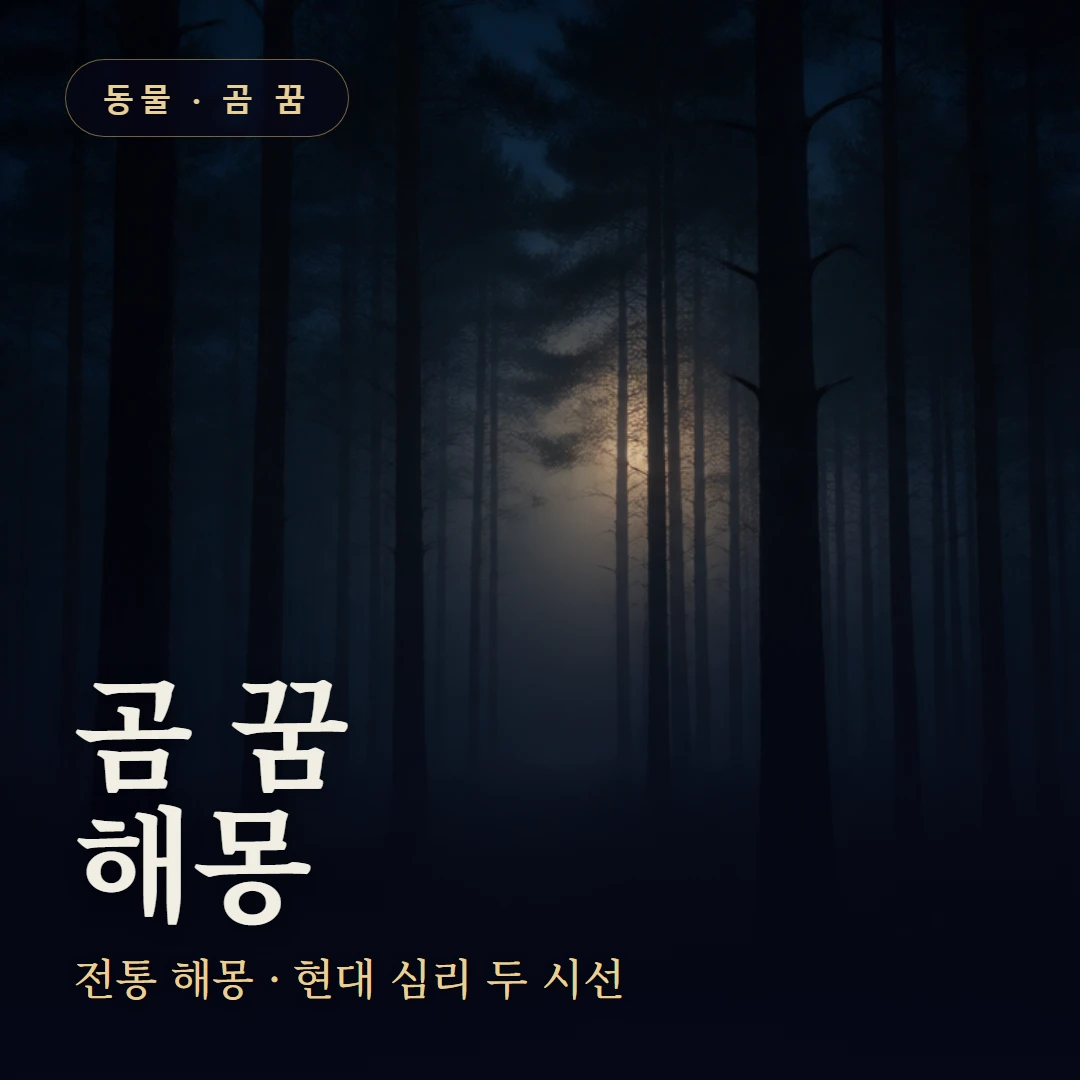 곰 꿈 요약 표지 — 전통 해몽 · 현대 심리 두 시선