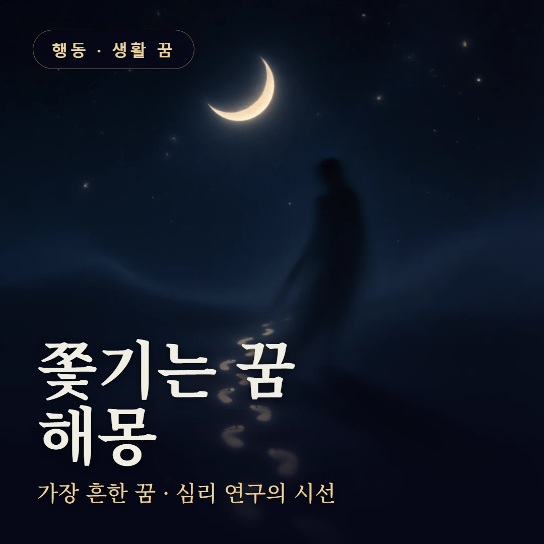 쫓기는 꿈 요약 표지 — 가장 흔한 꿈 · 심리 연구의 시선