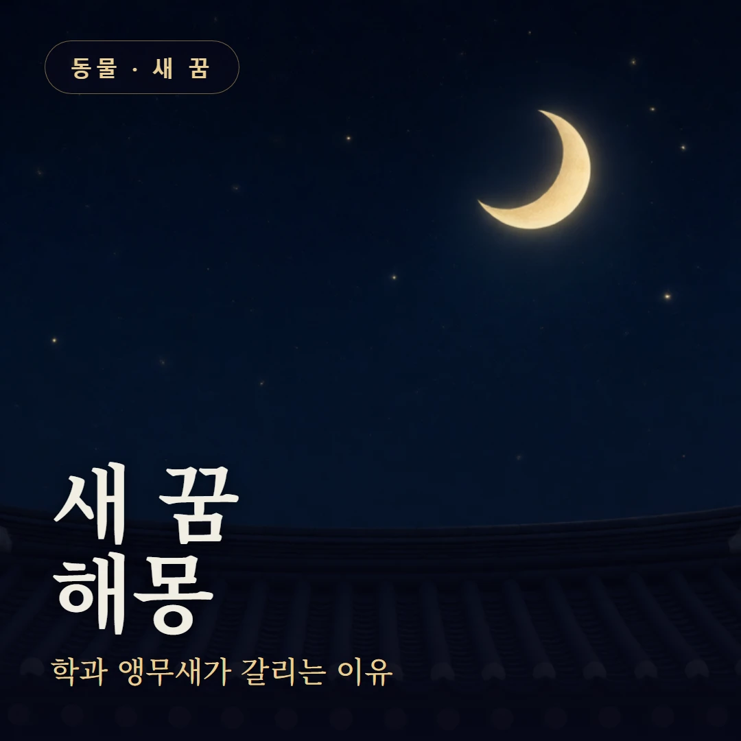 새 꿈 요약 표지 — 학과 앵무새가 갈리는 이유