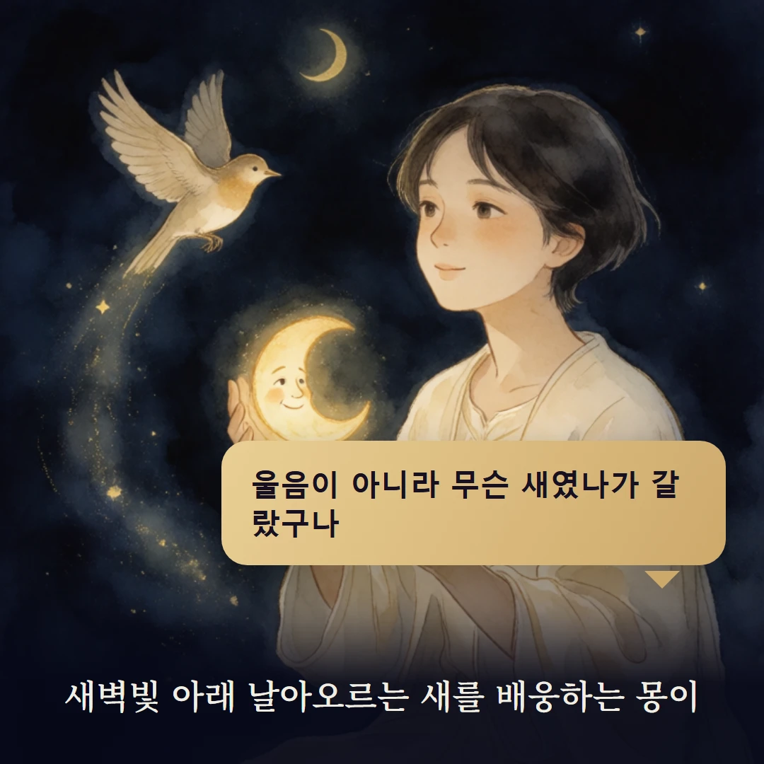 이야기 4컷 — 새벽빛 아래 날아오르는 새를 배웅하는 몽이