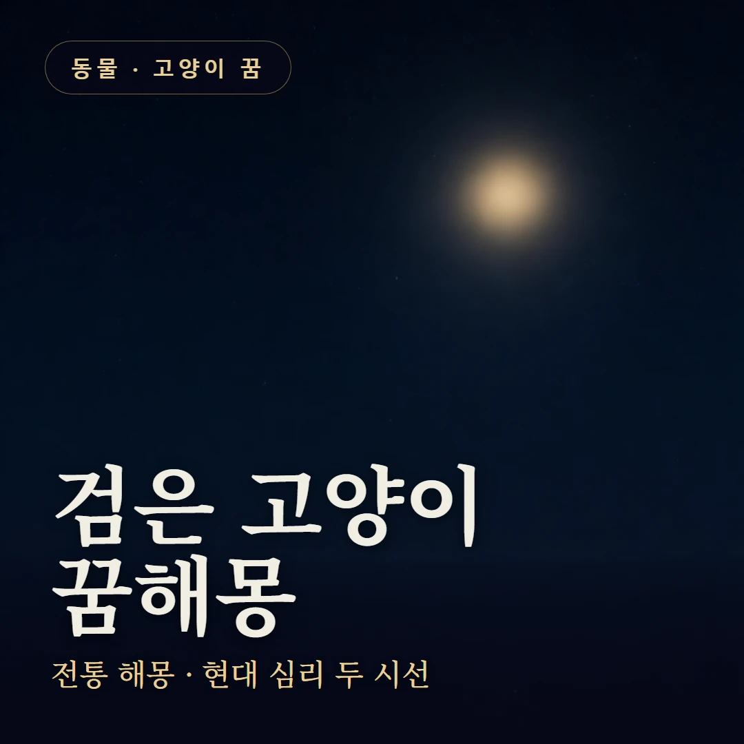 검은 고양이 꿈 요약 표지 — 전통 해몽 · 현대 심리 두 시선