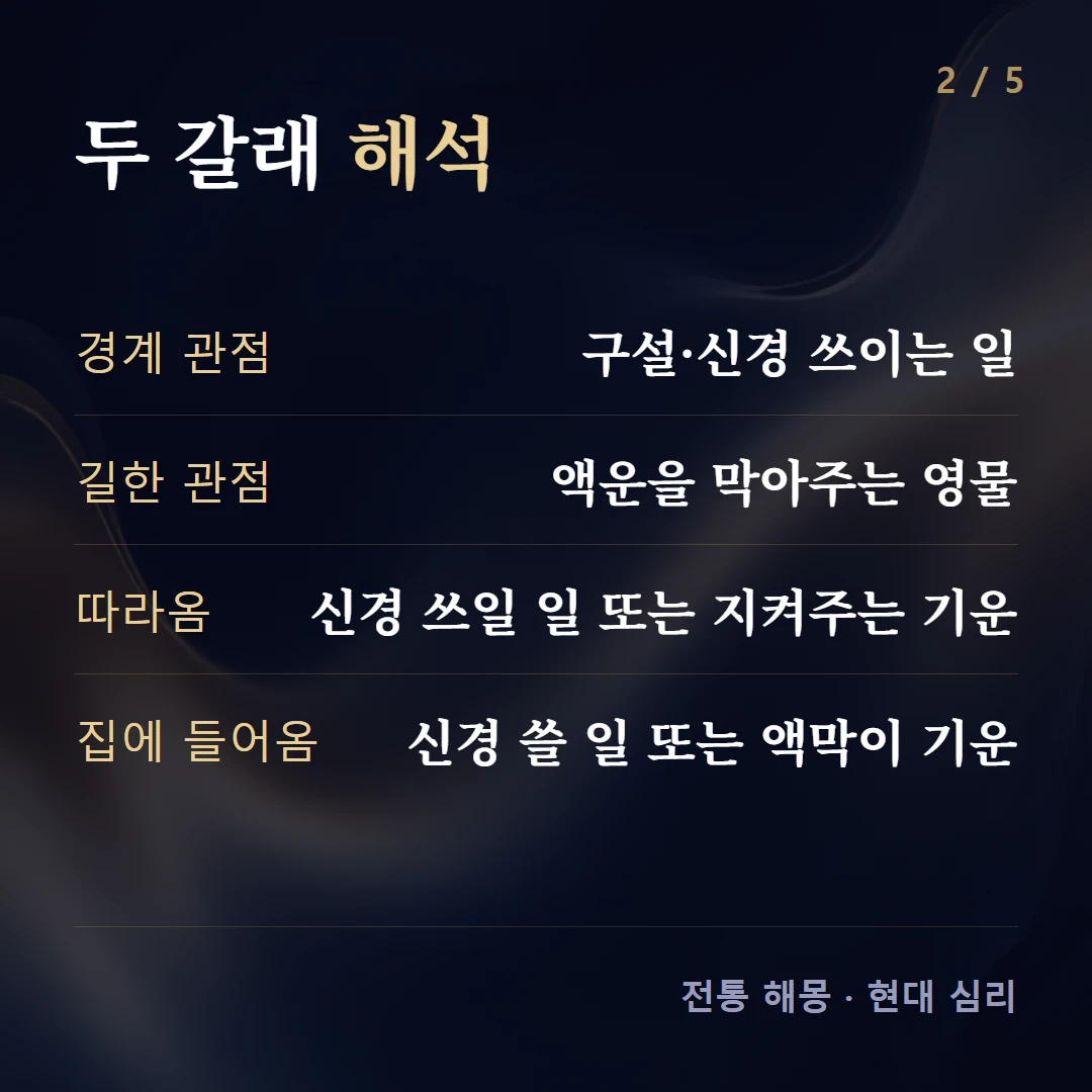 두 갈래 해석 — 경계 관점 구설·신경 쓰이는 일, 길한 관점 액운을 막아주는 영물, 따라옴 신경 쓰일 일 또는 지켜주는 기운, 집에 들어옴 신경 쓸 일 또는 액막이 기운