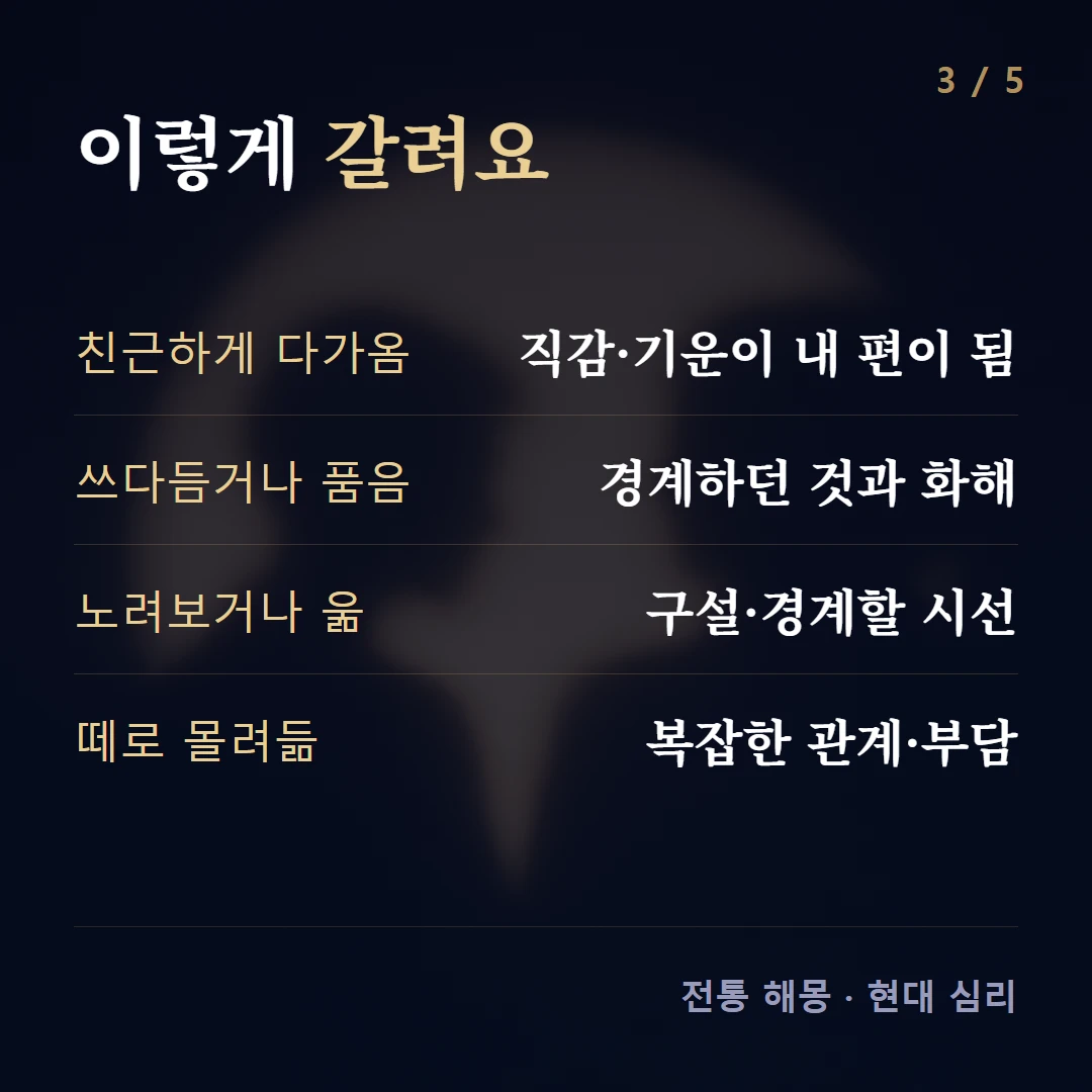 이렇게 갈려요 — 친근하게 다가옴 직감·기운이 내 편이 됨, 쓰다듬거나 품음 경계하던 것과 화해, 노려보거나 욺 구설·경계할 시선, 떼로 몰려듦 복잡한 관계·부담
