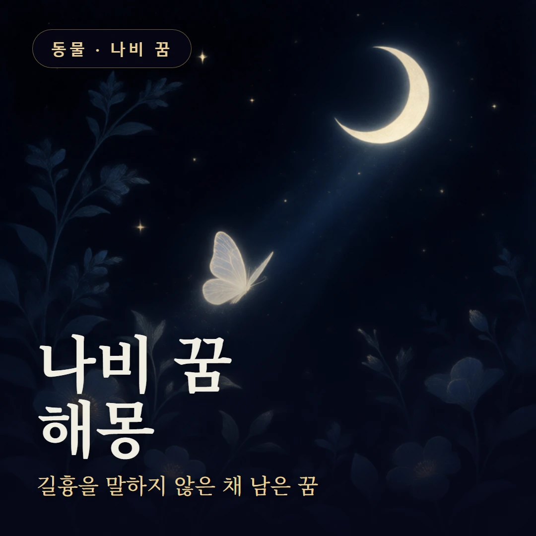 나비 꿈 요약 표지 — 길흉을 말하지 않은 채 남은 꿈
