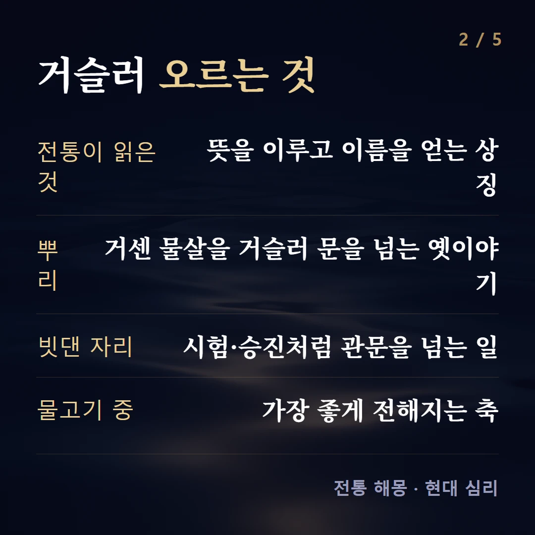 거슬러 오르는 것 — 전통이 읽은 것 뜻을 이루고 이름을 얻는 상징, 뿌리 거센 물살을 거슬러 문을 넘는 옛이야기, 빗댄 자리 시험·승진처럼 관문을 넘는 일, 물고기 중 가장 좋게 전해지는 축