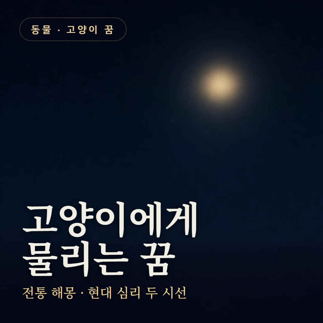 고양이에게 물리는 꿈 요약 표지 — 전통 해몽 · 현대 심리 두 시선