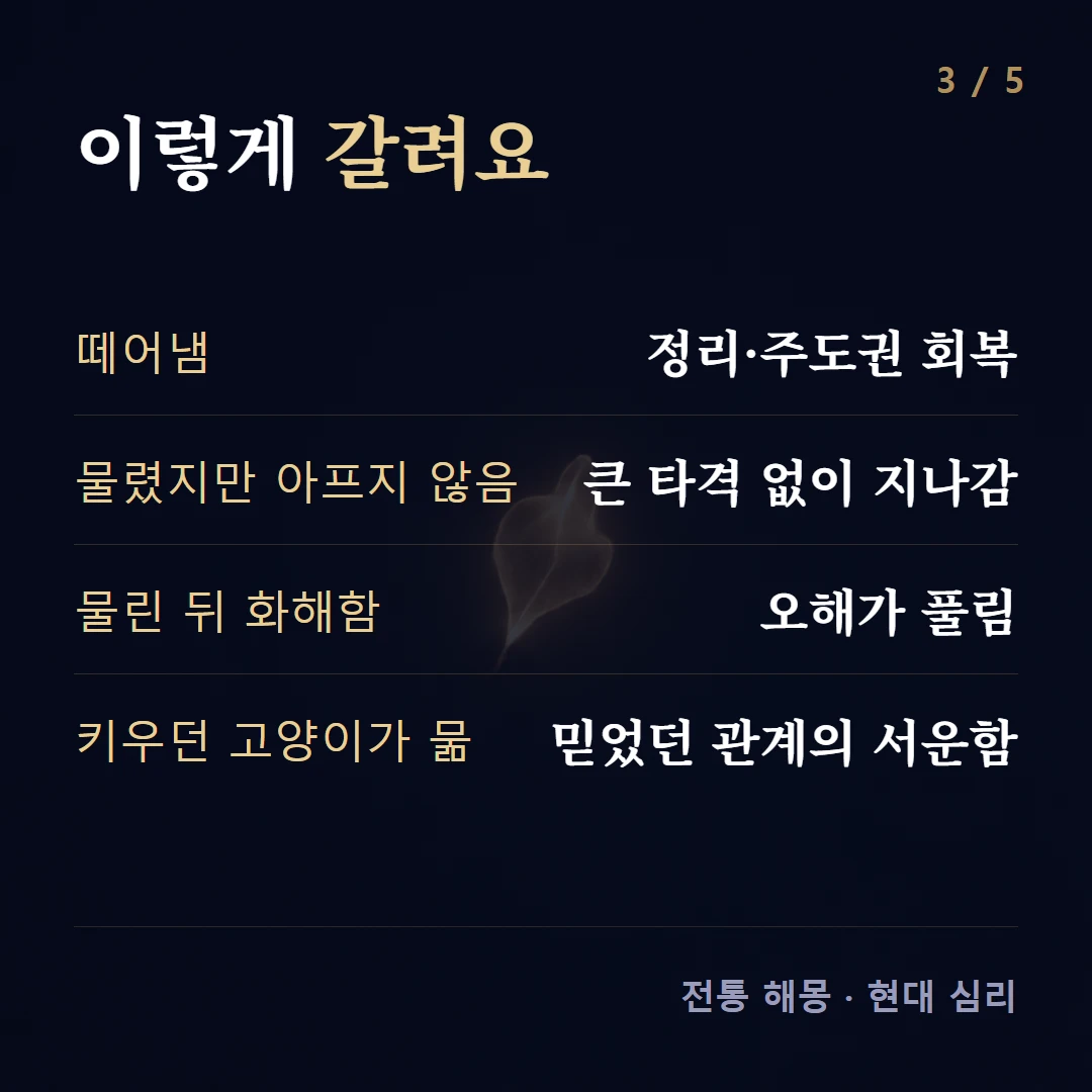 이렇게 갈려요 — 떼어냄 정리·주도권 회복, 물렸지만 아프지 않음 큰 타격 없이 지나감, 물린 뒤 화해함 오해가 풀림, 키우던 고양이가 묾 믿었던 관계의 서운함