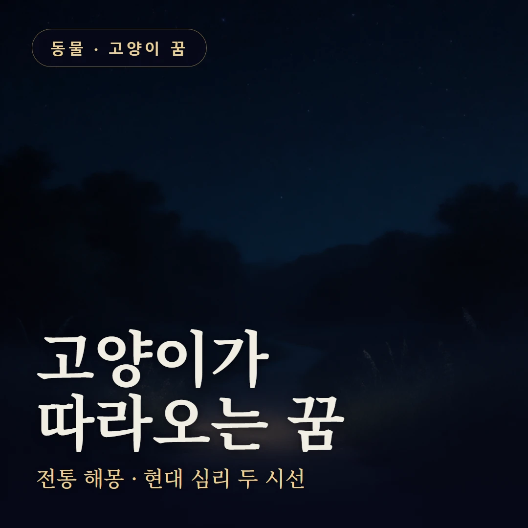 고양이가 따라오는 꿈 요약 표지 — 전통 해몽 · 현대 심리 두 시선