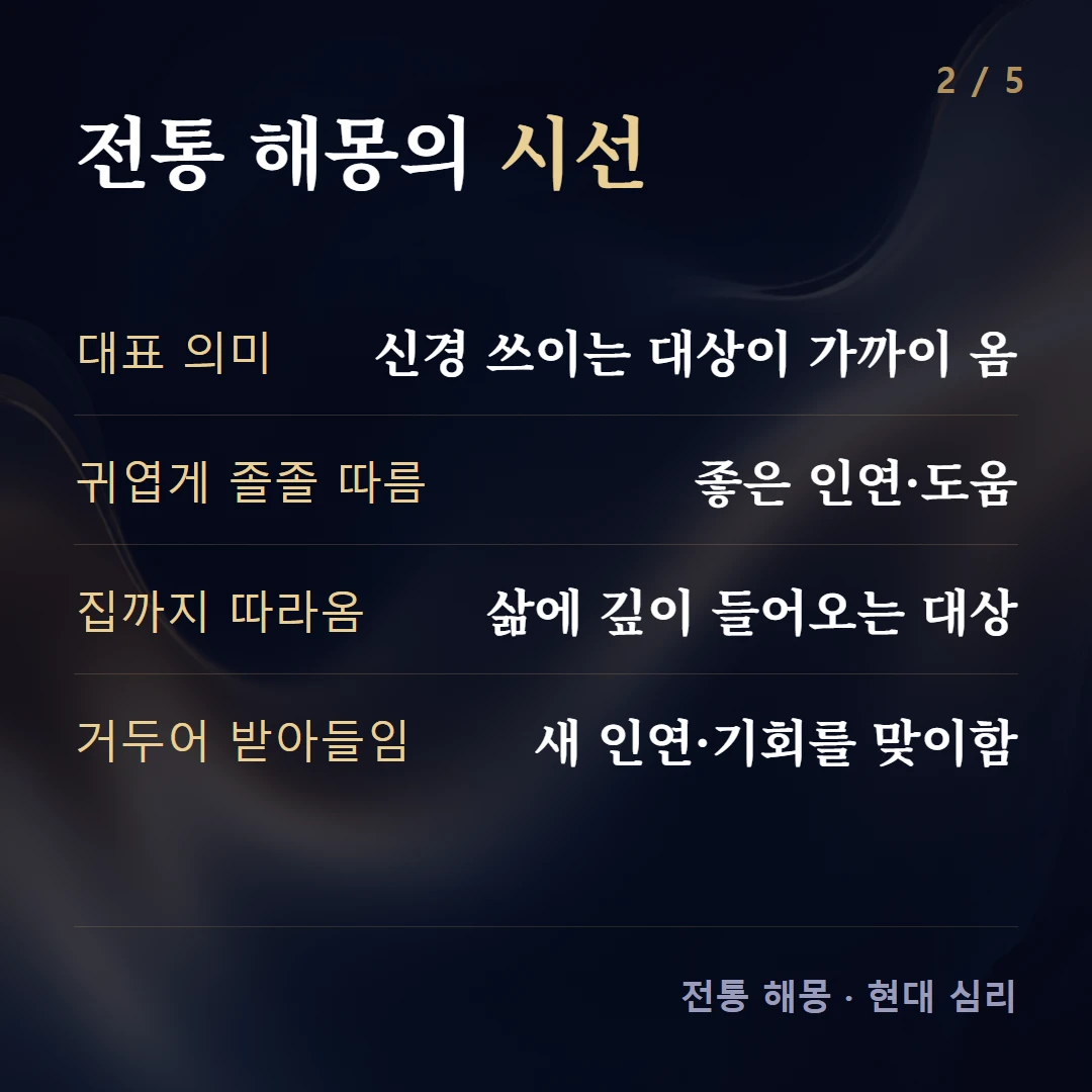 전통 해몽의 시선 — 대표 의미 신경 쓰이는 대상이 가까이 옴, 귀엽게 졸졸 따름 좋은 인연·도움, 집까지 따라옴 삶에 깊이 들어오는 대상, 거두어 받아들임 새 인연·기회를 맞이함