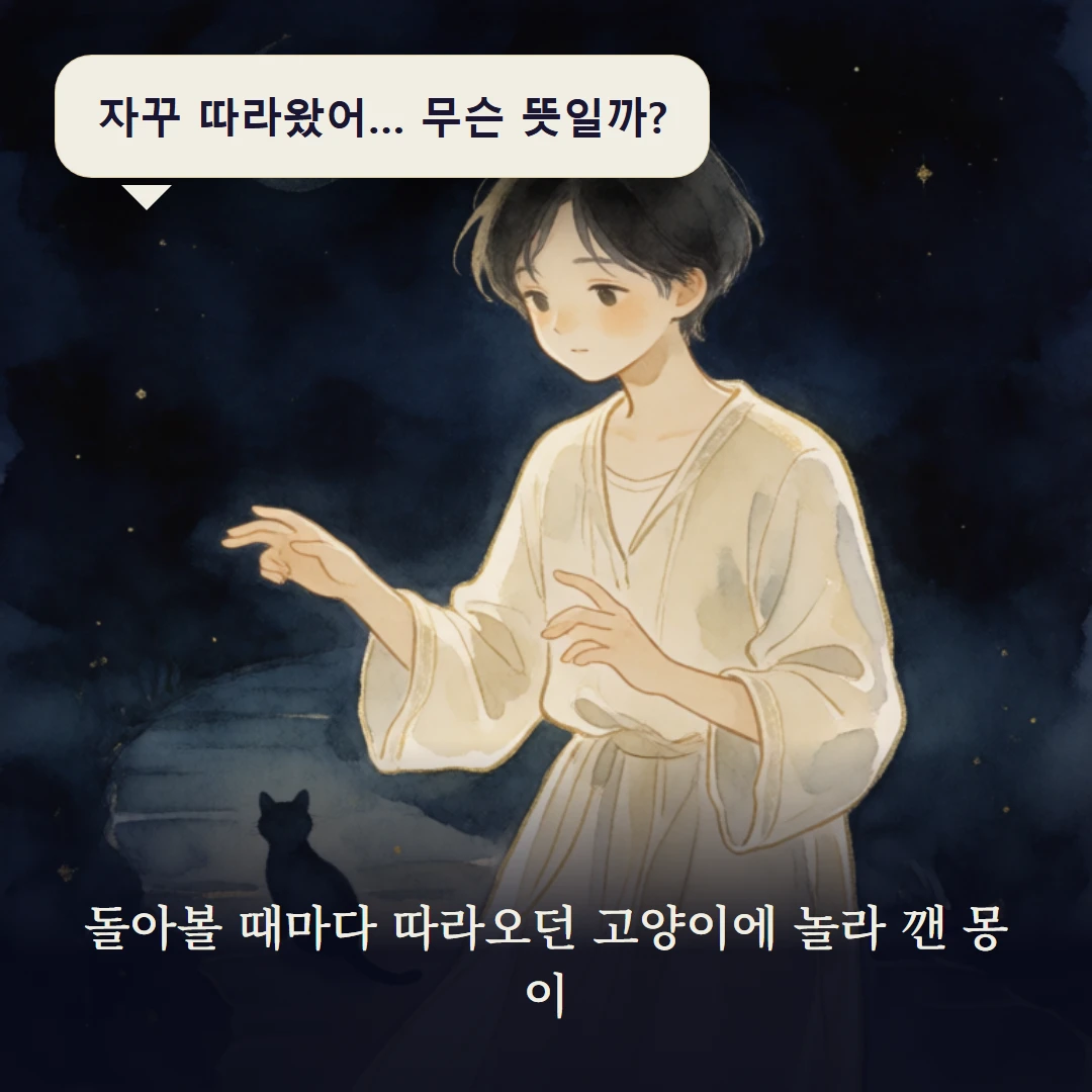 이야기 1컷 — 돌아볼 때마다 따라오던 고양이에 놀라 깬 몽이