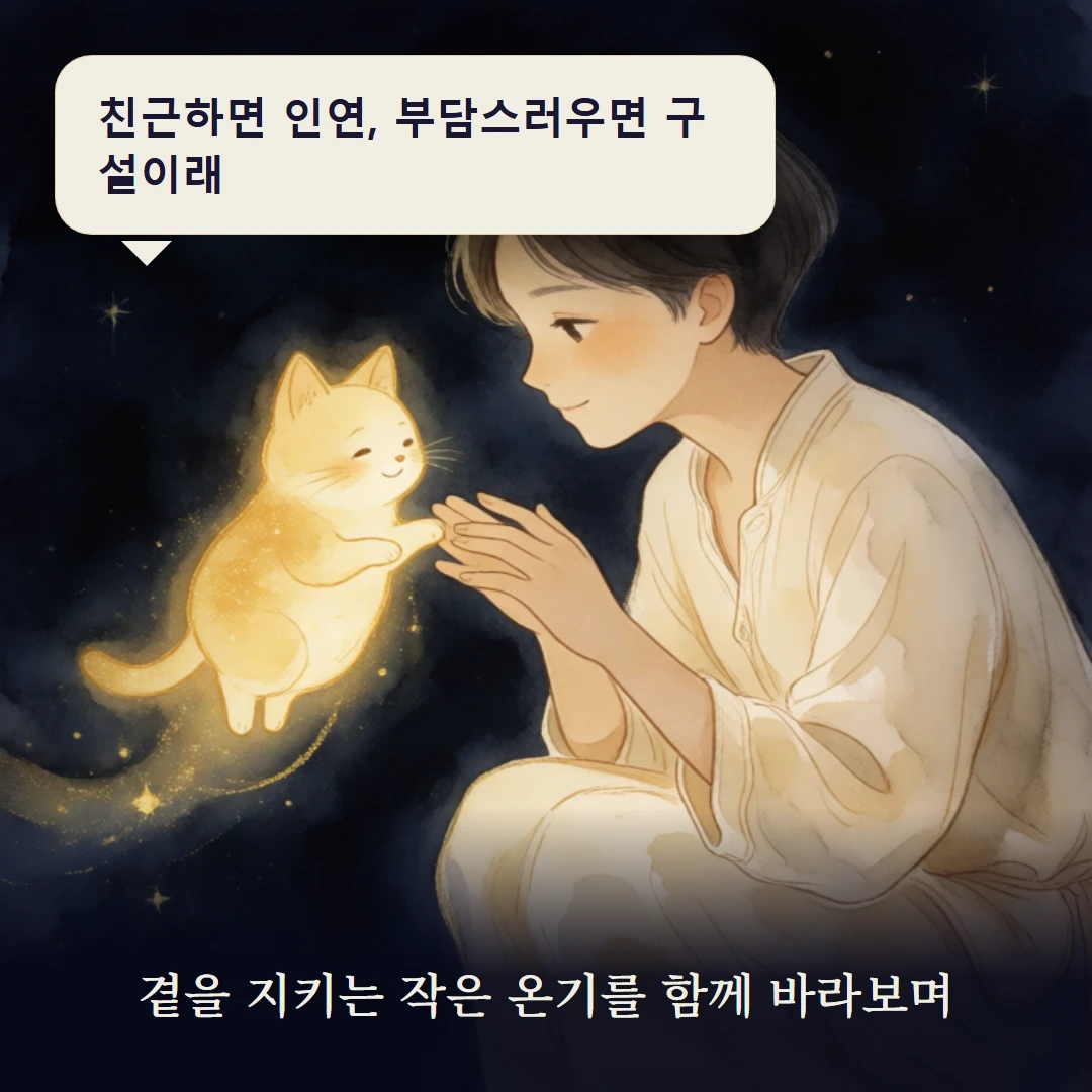 이야기 3컷 — 곁을 지키는 작은 온기를 함께 바라보며