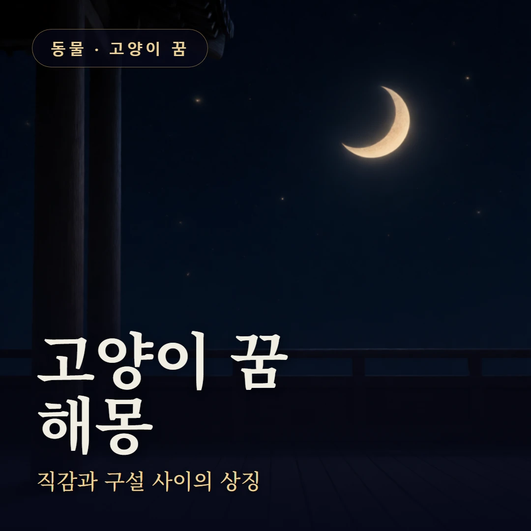 고양이 꿈 요약 표지 — 직감과 구설 사이의 상징