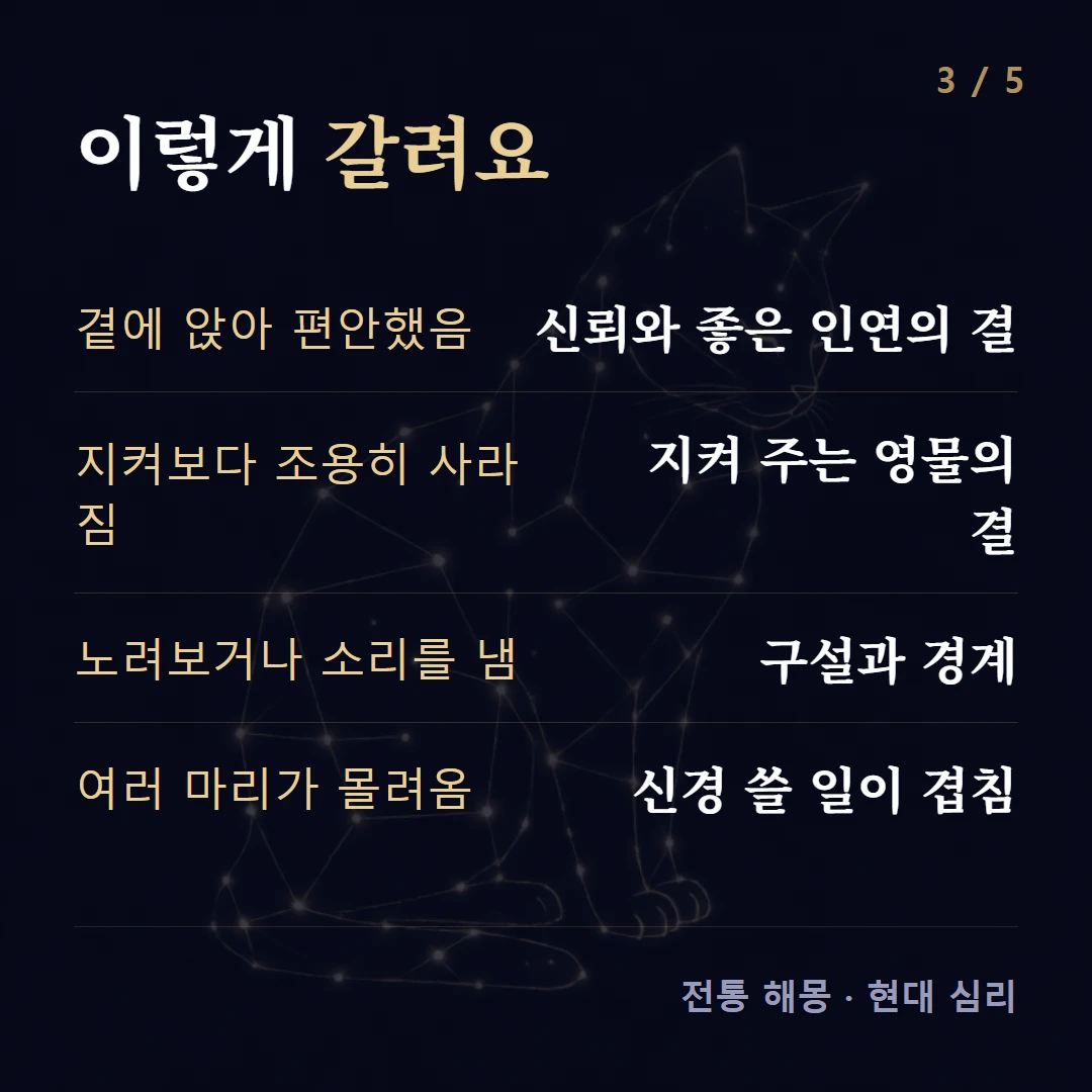 이렇게 갈려요 — 곁에 앉아 편안했음 신뢰와 좋은 인연의 결, 지켜보다 조용히 사라짐 지켜 주는 영물의 결, 노려보거나 소리를 냄 구설과 경계, 여러 마리가 몰려옴 신경 쓸 일이 겹침