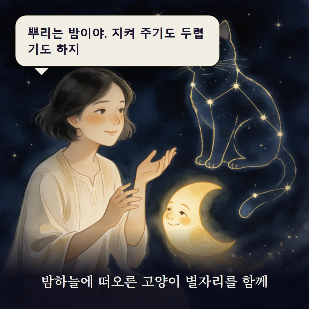 이야기 3컷 — 밤하늘에 떠오른 고양이 별자리를 함께