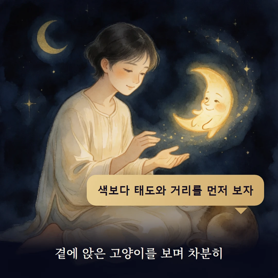 이야기 4컷 — 곁에 앉은 고양이를 보며 차분히