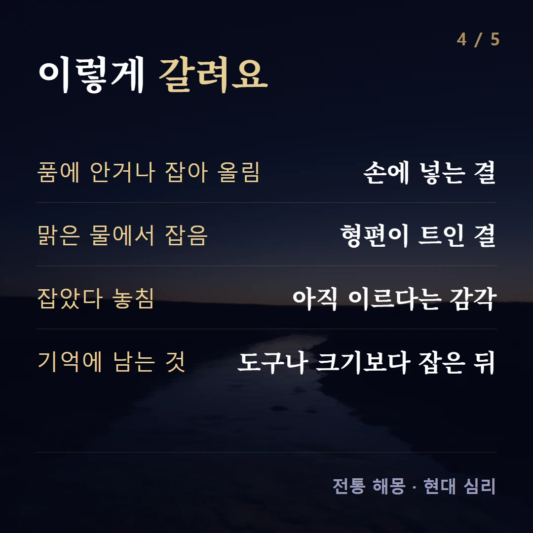 이렇게 갈려요 — 품에 안거나 잡아 올림 손에 넣는 결, 맑은 물에서 잡음 형편이 트인 결, 잡았다 놓침 아직 이르다는 감각, 기억에 남는 것 도구나 크기보다 잡은 뒤