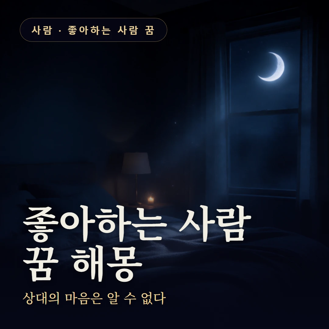 좋아하는 사람 꿈 요약 표지 — 상대의 마음은 알 수 없다