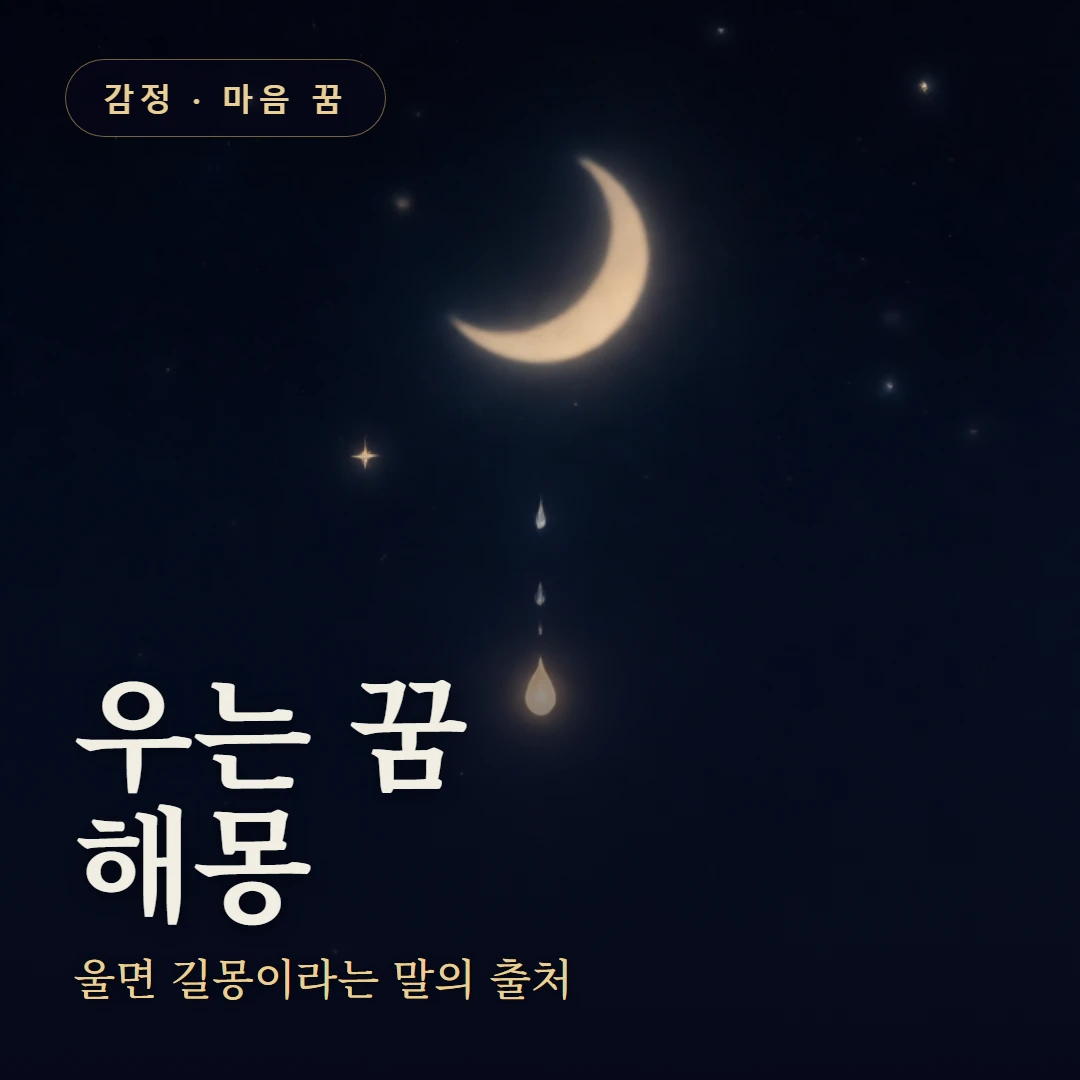 우는 꿈 요약 표지 — 울면 길몽이라는 말의 출처