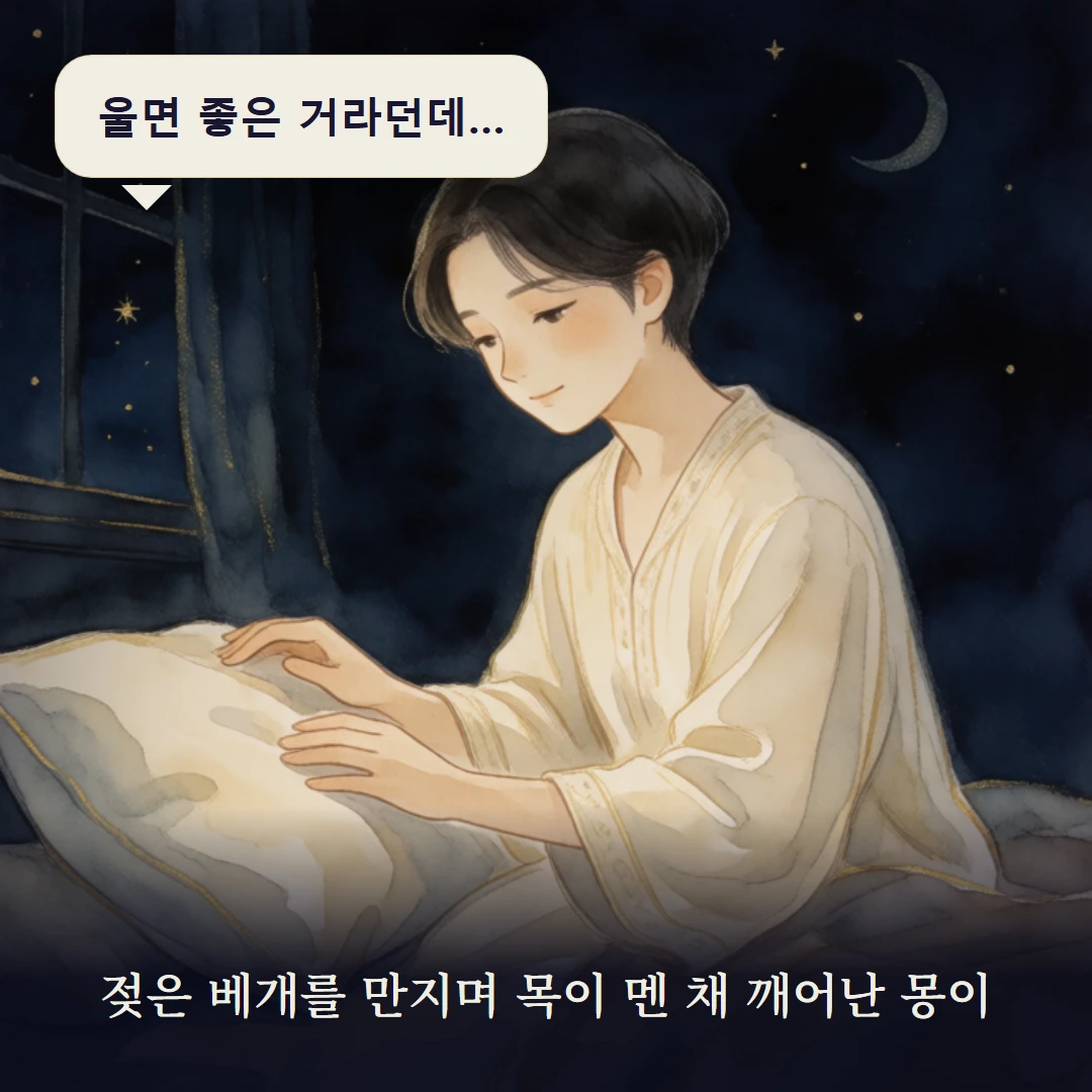 이야기 1컷 — 젖은 베개를 만지며 목이 멘 채 깨어난 몽이
