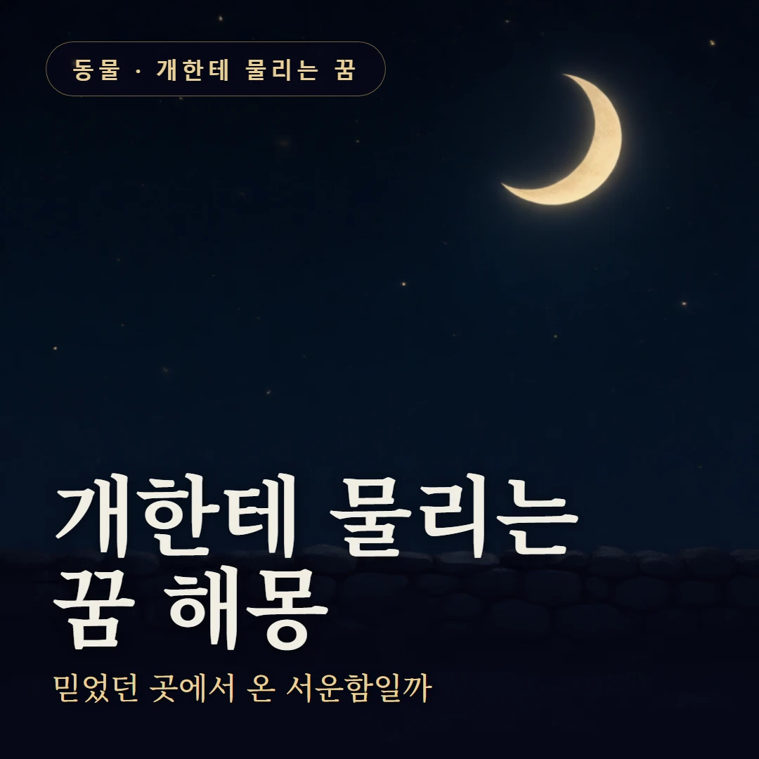 개한테 물리는 꿈 요약 표지 — 믿었던 곳에서 온 서운함일까
