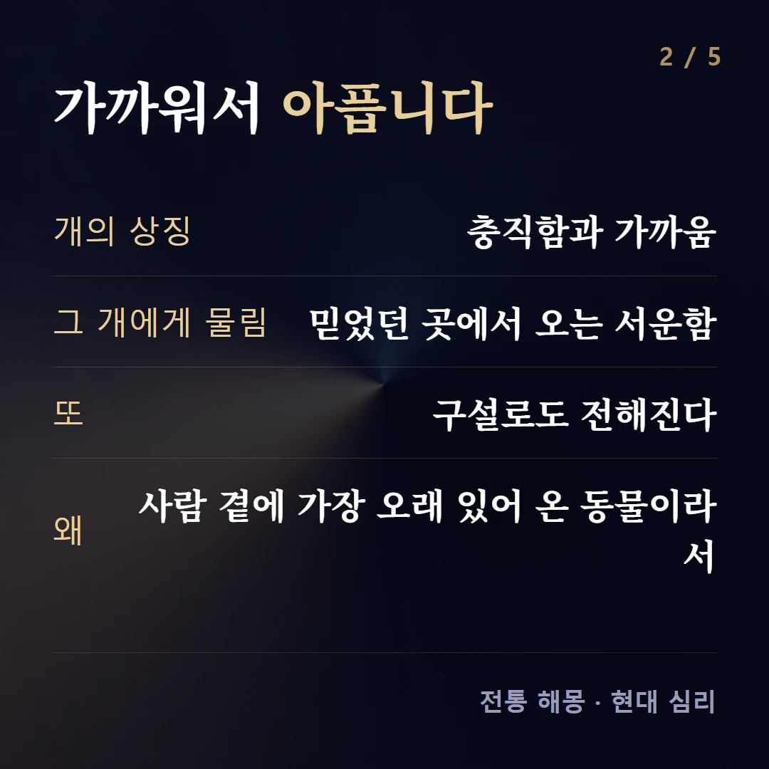 가까워서 아픕니다 — 개의 상징 충직함과 가까움, 그 개에게 물림 믿었던 곳에서 오는 서운함, 또 구설로도 전해진다, 왜 사람 곁에 가장 오래 있어 온 동물이라서
