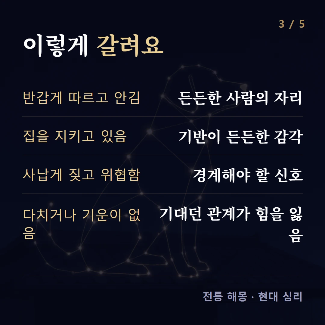 이렇게 갈려요 — 반갑게 따르고 안김 든든한 사람의 자리, 집을 지키고 있음 기반이 든든한 감각, 사납게 짖고 위협함 경계해야 할 신호, 다치거나 기운이 없음 기대던 관계가 힘을 잃음