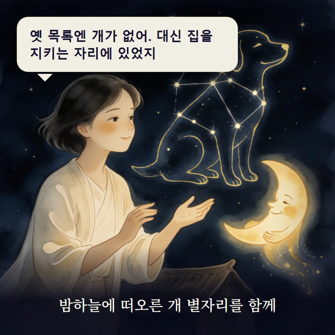 이야기 3컷 — 밤하늘에 떠오른 개 별자리를 함께