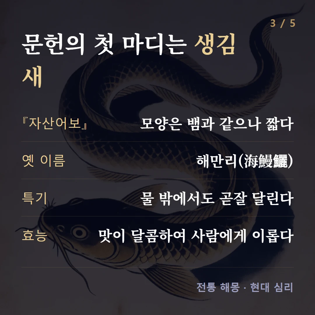 문헌의 첫 마디는 생김새 — 『자산어보』 모양은 뱀과 같으나 짧다, 옛 이름 해만리(海鰻鱺), 특기 물 밖에서도 곧잘 달린다, 효능 맛이 달콤하여 사람에게 이롭다