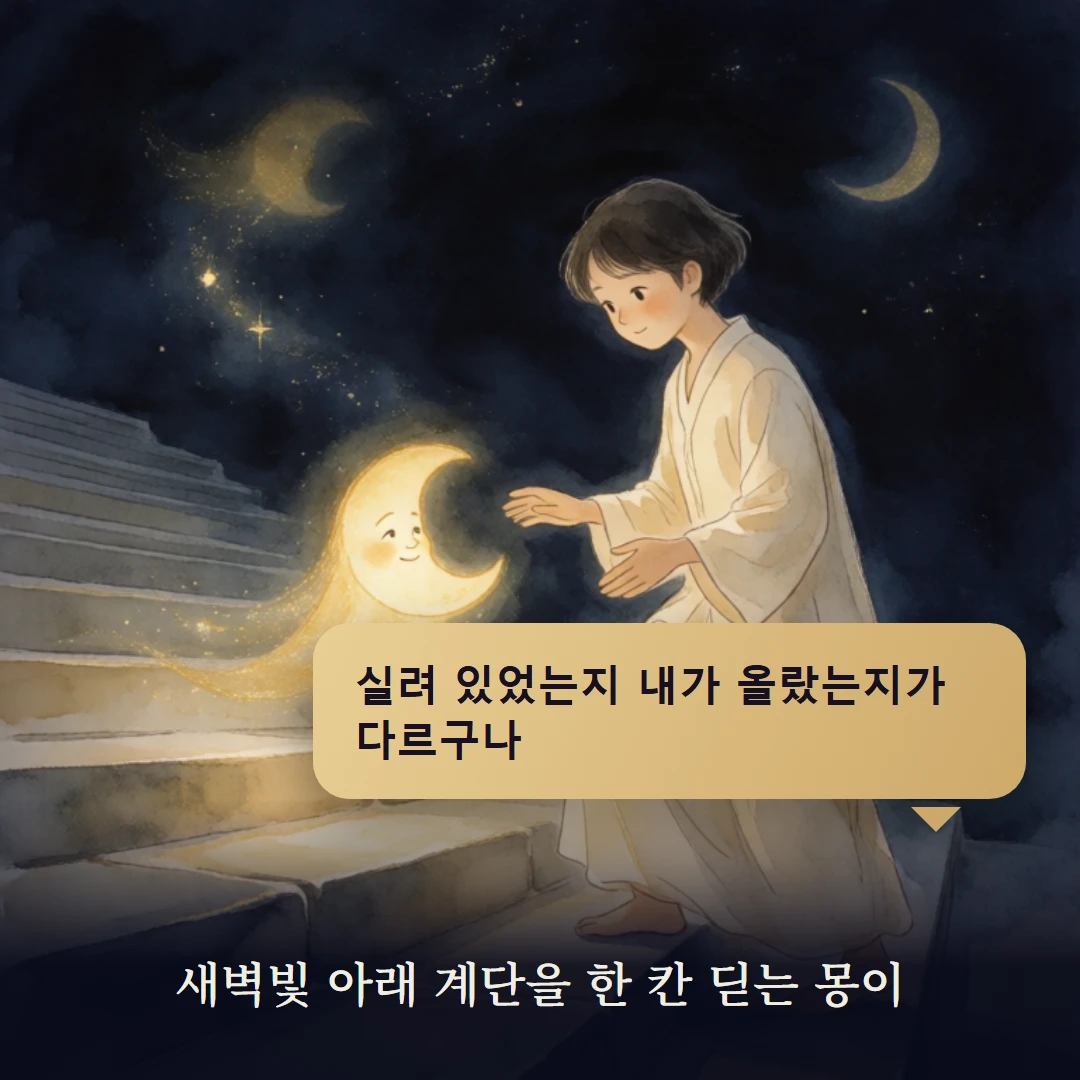 이야기 4컷 — 새벽빛 아래 계단을 한 칸 딛는 몽이