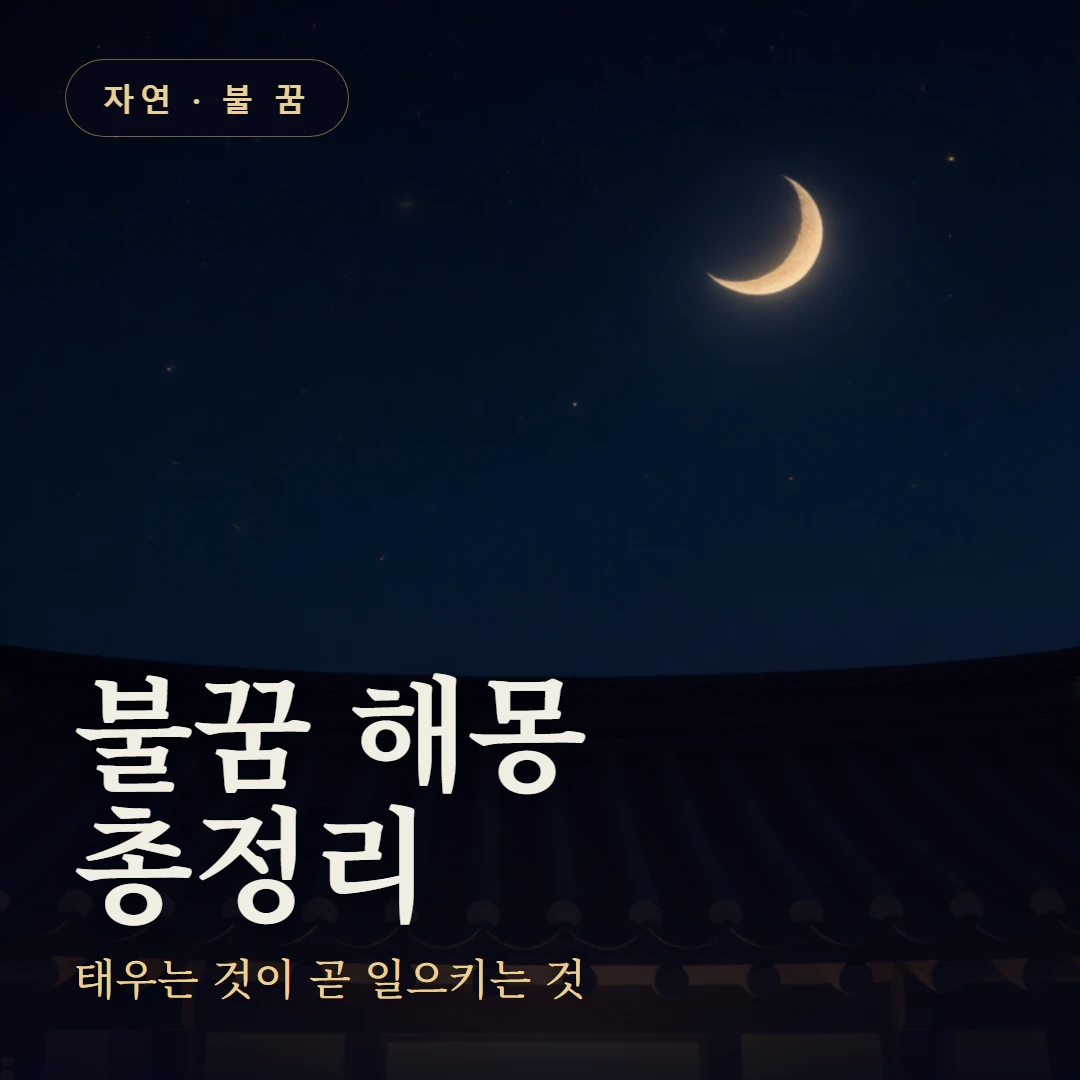 불꿈 요약 표지 — 태우는 것이 곧 일으키는 것