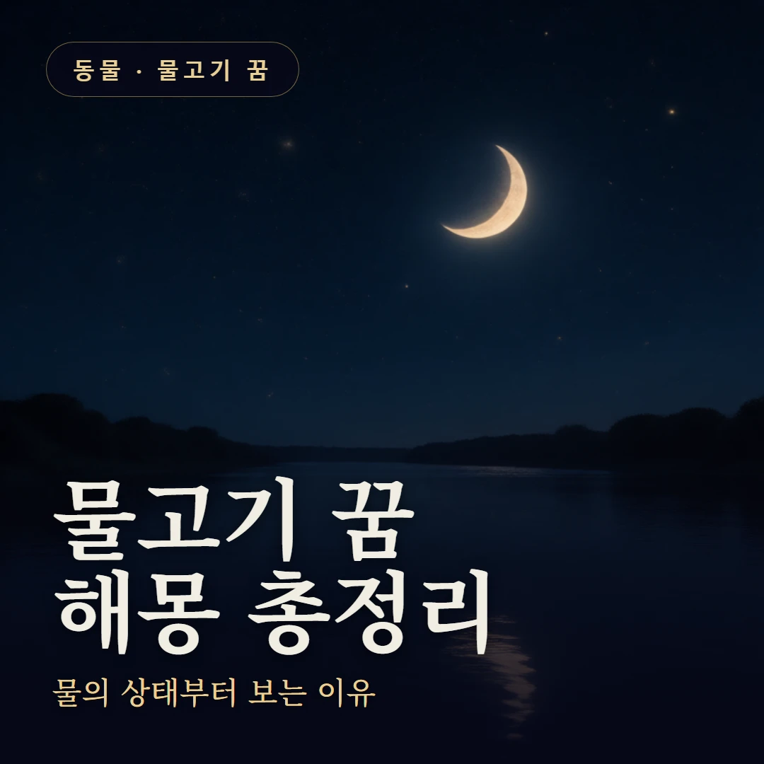 물고기 꿈 요약 표지 — 물의 상태부터 보는 이유