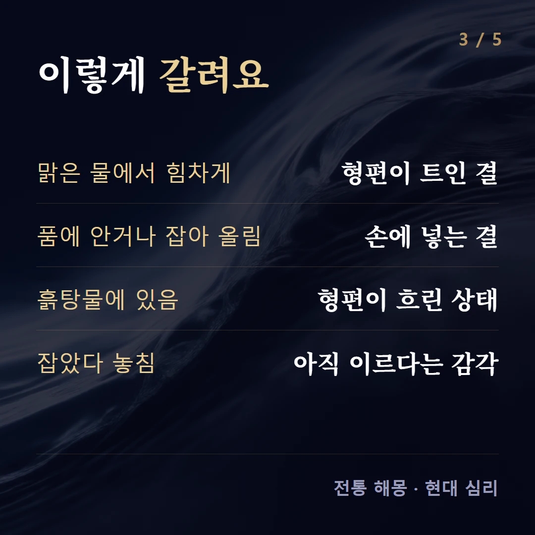 이렇게 갈려요 — 맑은 물에서 힘차게 형편이 트인 결, 품에 안거나 잡아 올림 손에 넣는 결, 흙탕물에 있음 형편이 흐린 상태, 잡았다 놓침 아직 이르다는 감각