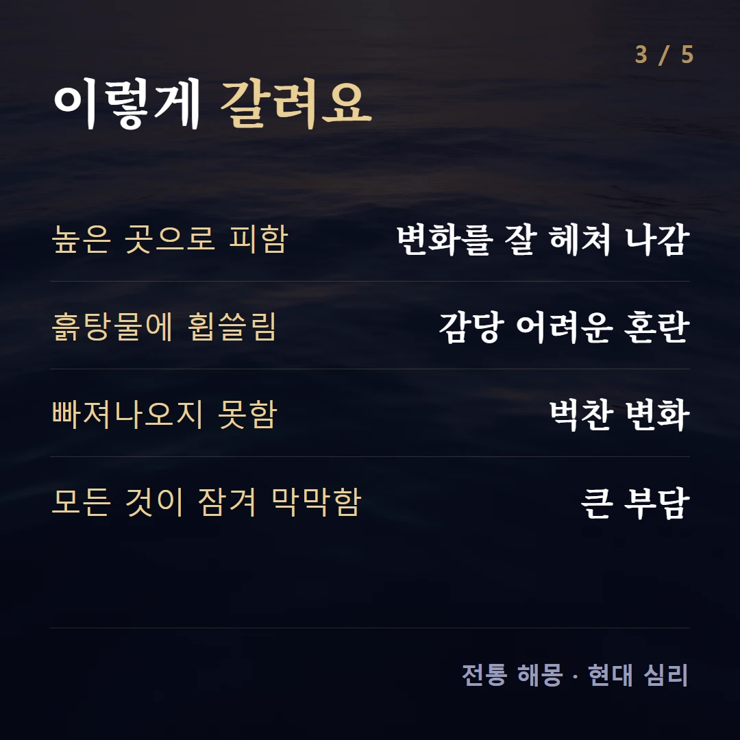 이렇게 갈려요 — 높은 곳으로 피함 변화를 잘 헤쳐 나감, 흙탕물에 휩쓸림 감당 어려운 혼란, 빠져나오지 못함 벅찬 변화, 모든 것이 잠겨 막막함 큰 부담
