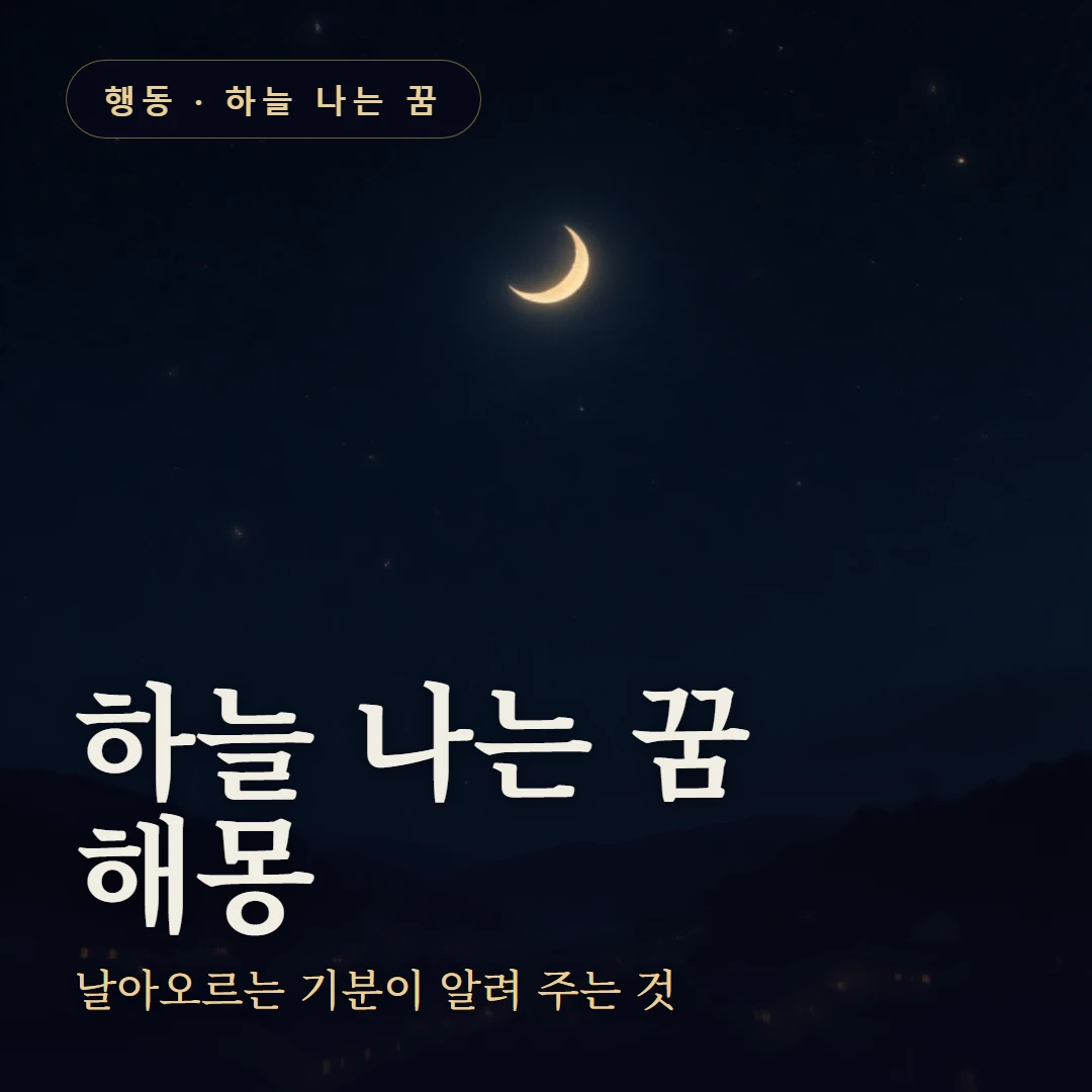 하늘 나는 꿈 요약 표지 — 날아오르는 기분이 알려 주는 것
