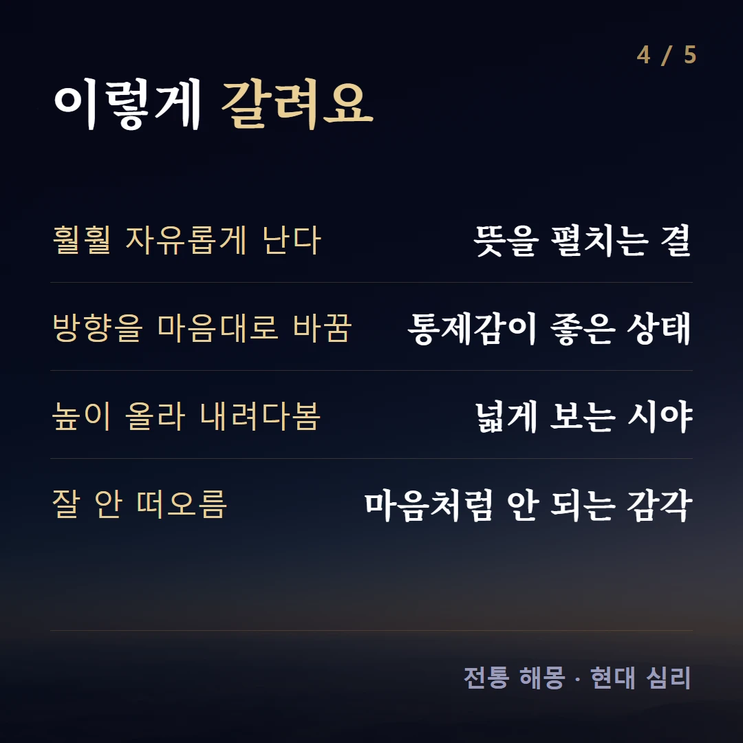 이렇게 갈려요 — 훨훨 자유롭게 낢 뜻을 펼치는 결, 방향을 마음대로 바꿈 통제감이 좋은 상태, 높이 올라 내려다봄 넓게 보는 시야, 잘 안 떠오름 마음처럼 안 되는 감각