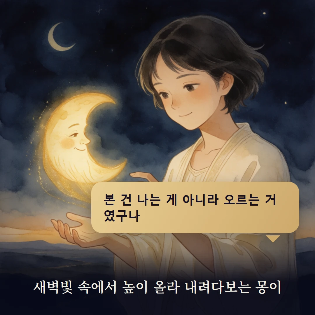 이야기 4컷 — 새벽빛 속에서 높이 올라 내려다보는 몽이
