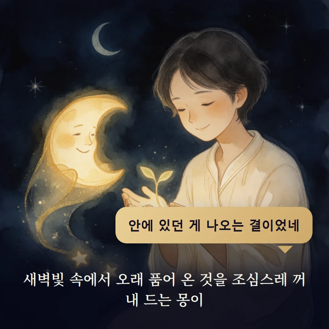 이야기 4컷 — 새벽빛 속에서 오래 품어 온 것을 조심스레 꺼내 드는 몽이
