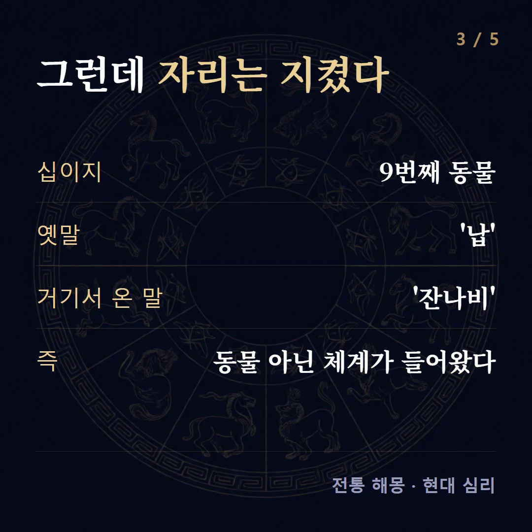 그런데 자리는 지켰다 — 십이지 9번째 동물, 옛말 '납', 거기서 온 말 '잔나비', 즉 동물 아닌 체계가 들어왔다