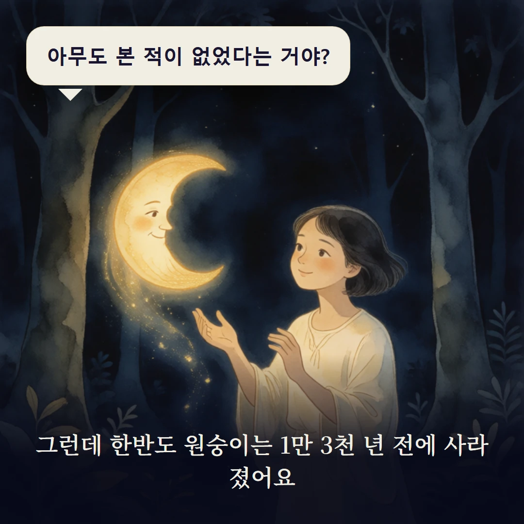 이야기 3컷 — 그런데 한반도 원숭이는 1만 3천 년 전에 사라졌어요