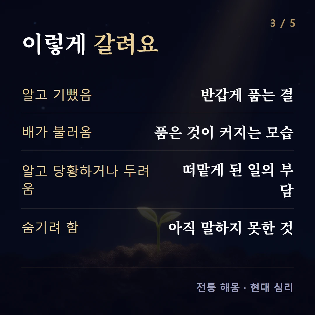 이렇게 갈려요 — 알고 기뻤음 반갑게 품는 결, 배가 불러옴 품은 것이 커지는 모습, 알고 당황하거나 두려움 떠맡게 된 일의 부담, 숨기려 함 아직 말하지 못한 것