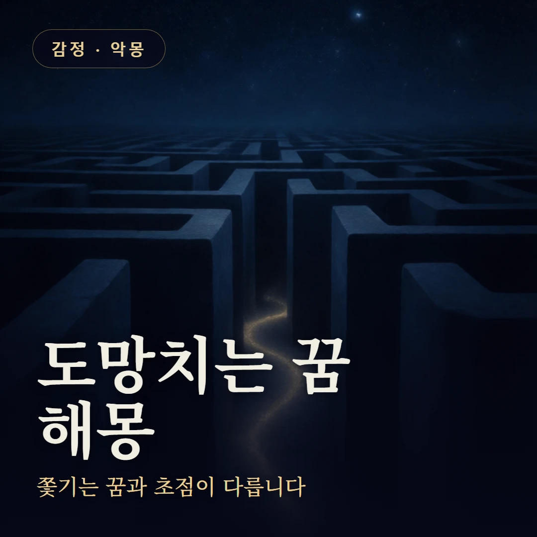 도망치는 꿈 요약 표지 — 쫓기는 꿈과 초점이 다릅니다