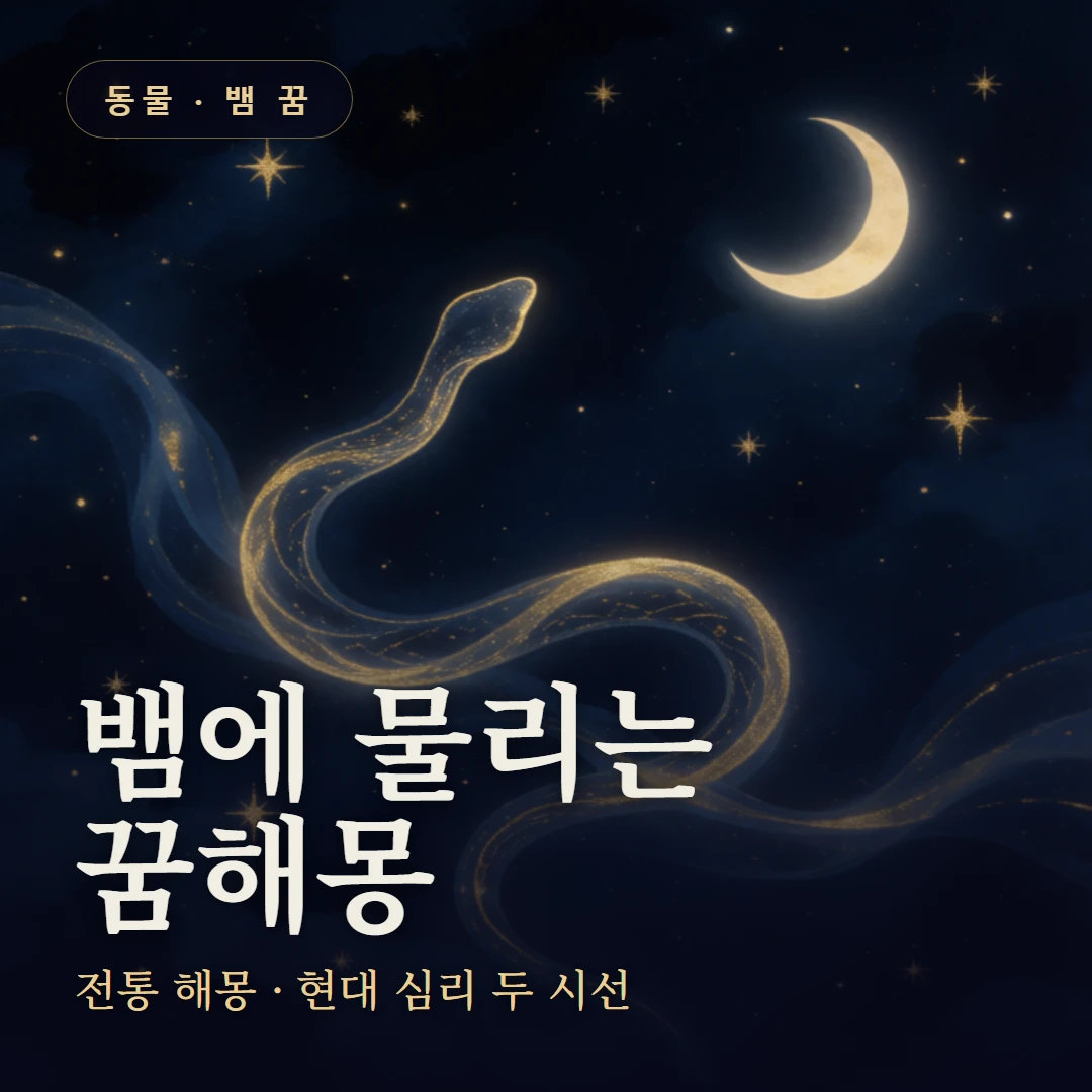 뱀에 물리는 꿈 요약 표지 — 전통 해몽 · 현대 심리 두 시선