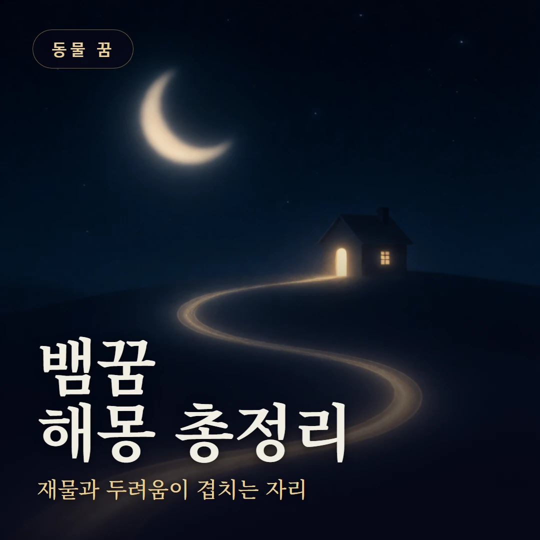 뱀꿈 요약 표지 — 재물과 두려움이 겹치는 자리