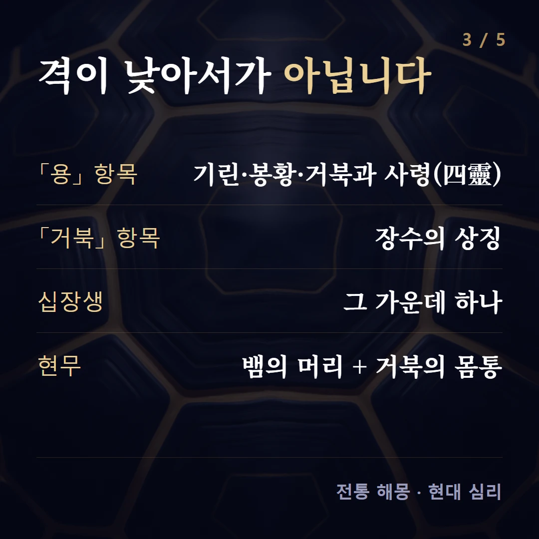 격이 낮아서가 아닙니다 — 「용」 항목 기린·봉황·거북과 사령(四靈), 「거북」 항목 장수의 상징, 십장생 그 가운데 하나, 현무 뱀의 머리 + 거북의 몸통