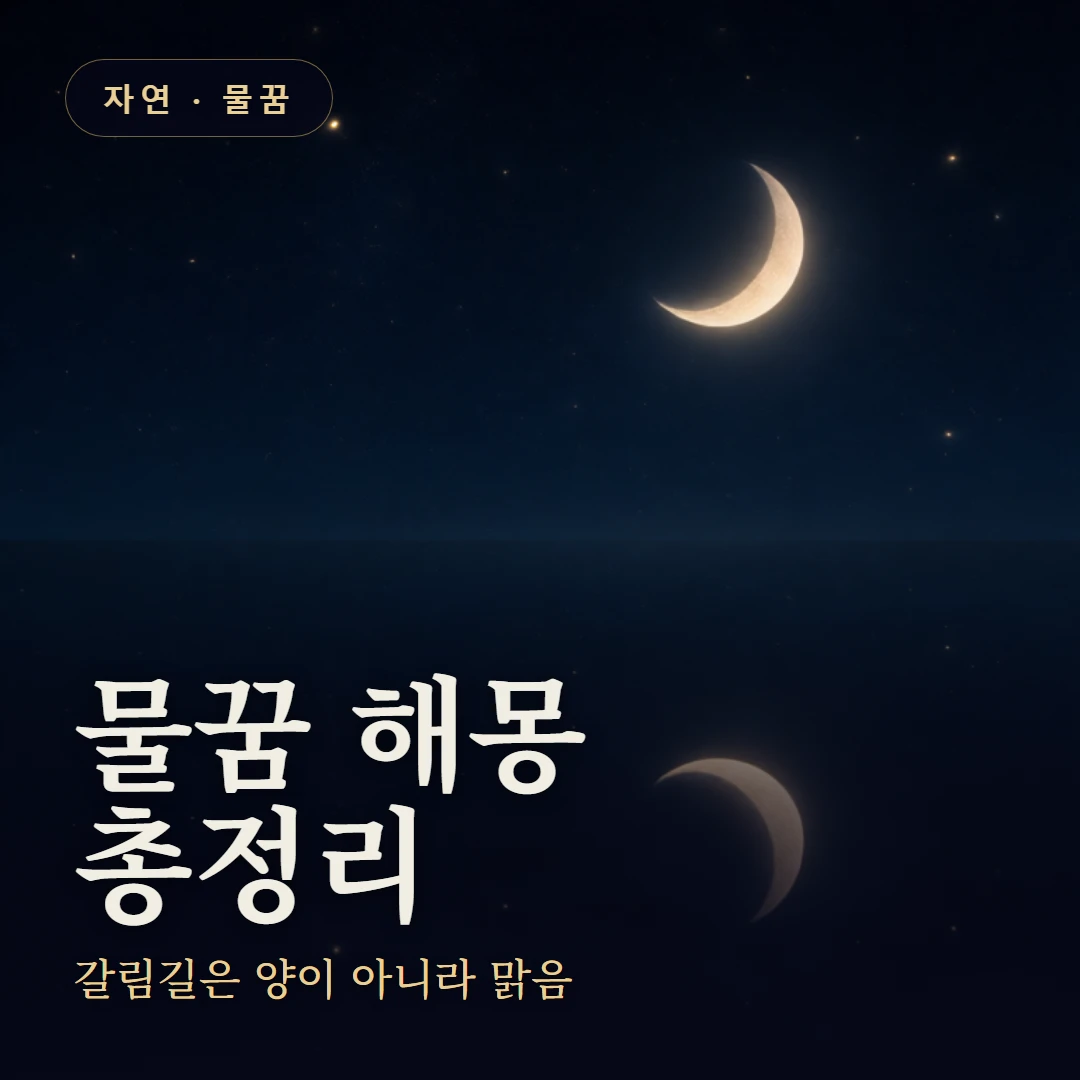 물꿈 요약 표지 — 갈림길은 양이 아니라 맑음